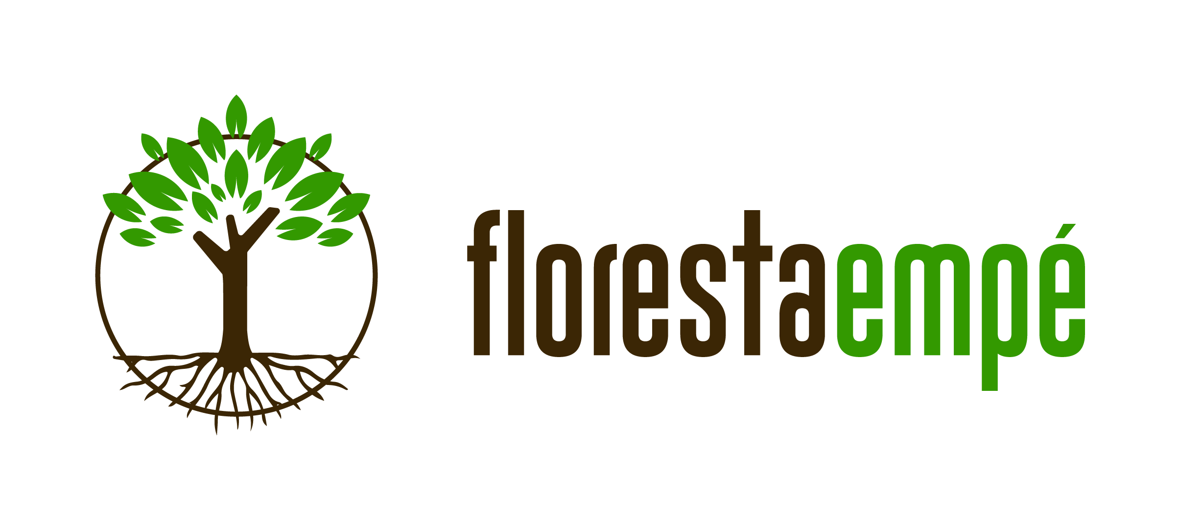 Floresta em Pé