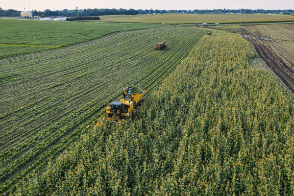 header-agro